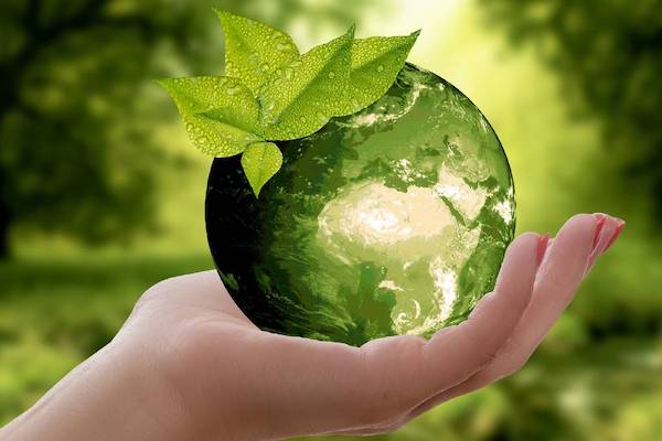 GenRev UK Reduces Your Businesses Carbon Footprint, Improves Business Efficiency and Saves Your Business Money