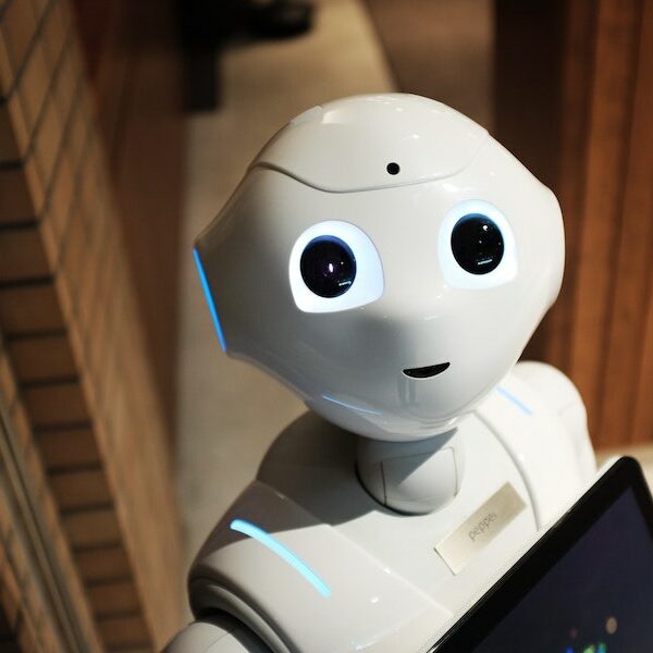Robotics in Logistics