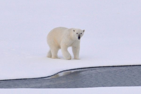 Climate Change & Logistics