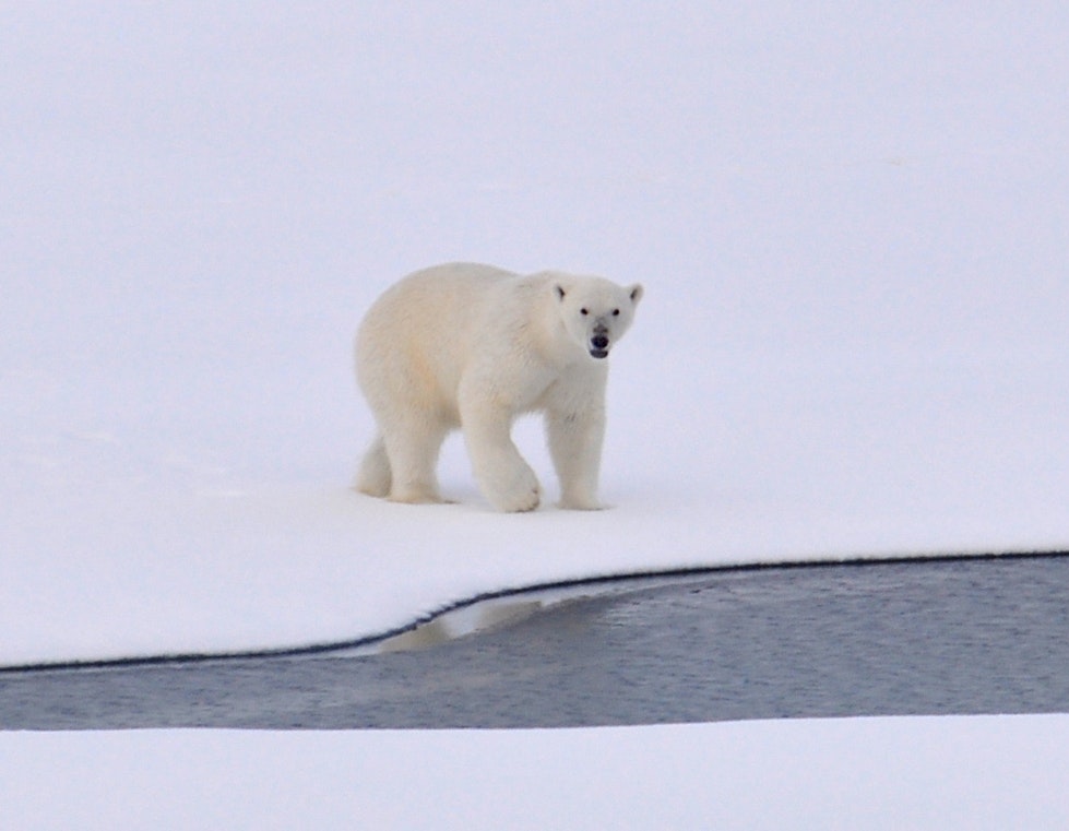 Climate Change & Logistics