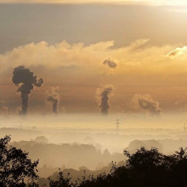 Reduce Your Carbon Footprint with Smart Deliveries